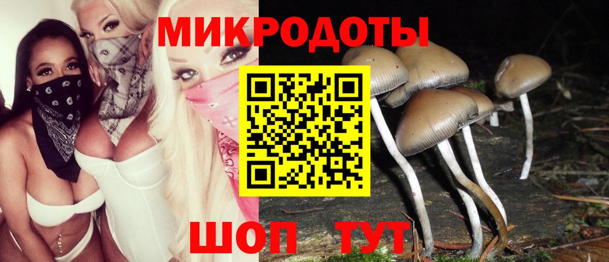Псилоцибиновые грибы Magic Shrooms Армавир